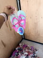 Detské žabky Flip Flop s gumičkou na päte PEPPA PIG