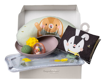 Taf Toys  -Súprava hračiek pre ru na brušku Hello Baby
